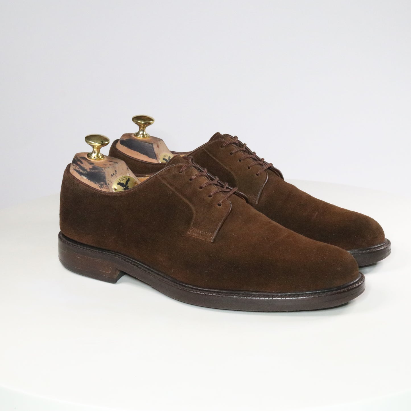 Yanko  Plain Toe derby  (½)